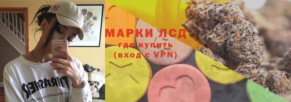 прущие грибы Алзамай