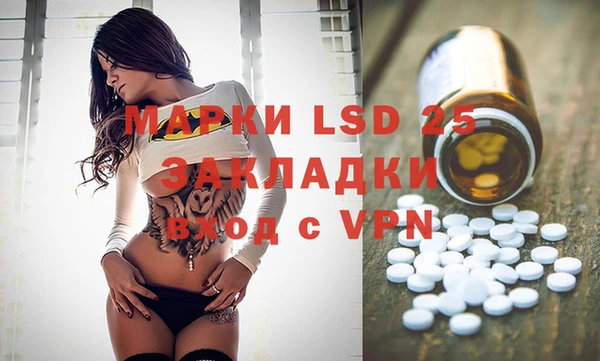 прущие грибы Алзамай