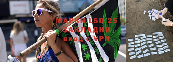 ПСИЛОЦИБИНОВЫЕ ГРИБЫ Абинск