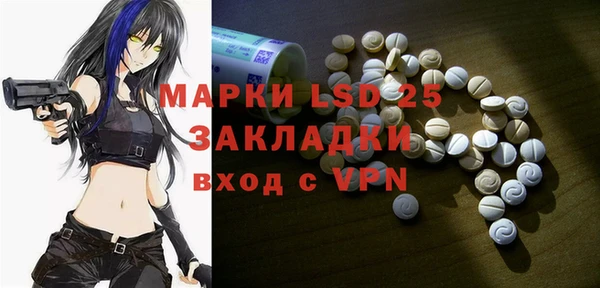 прущие грибы Алзамай