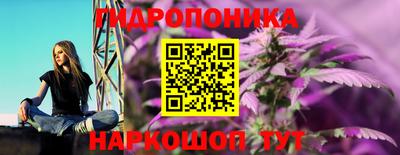 apvp Гусев