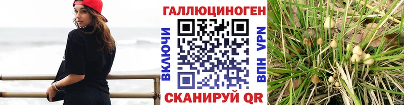 Псилоцибиновые грибы GOLDEN TEACHER  это Telegram  Сургут 