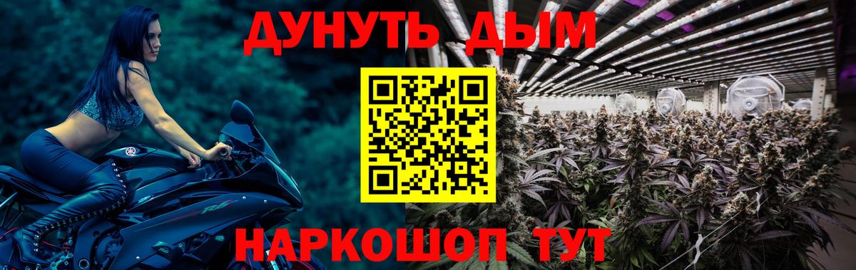 Бошки Шишки тримм  Каннабис THC 21%  Вход с VPN  МАРИХУАНА планчик  Сургут 